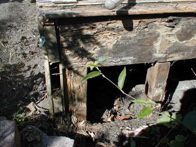 East Corner Damage